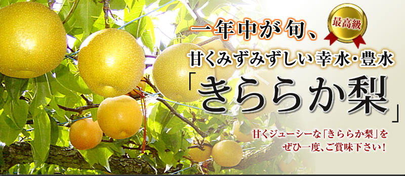 一年中が旬、甘くみずみずしい幸水・豊水「きららか梨」